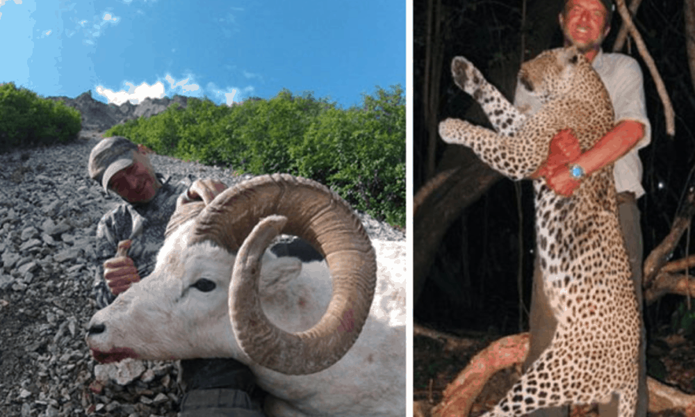 Veterinarian Known For Hunting Trophy Animals Dies After Falling Off Cliff