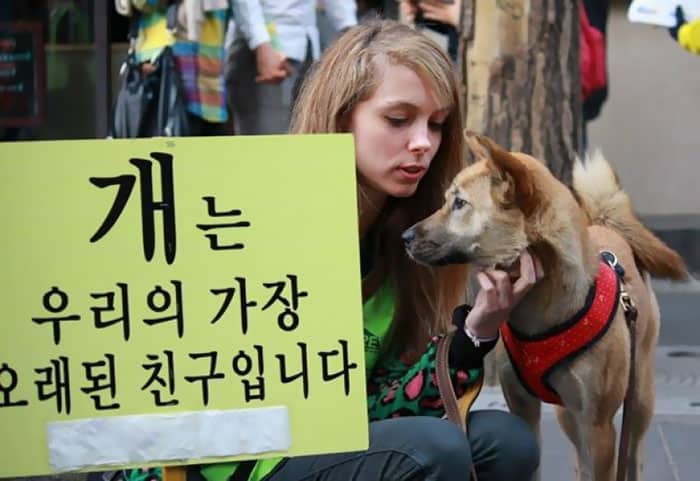 South Korea Farm That Supplies 33% Of Dog Meat To Be Shut Down Next Week
