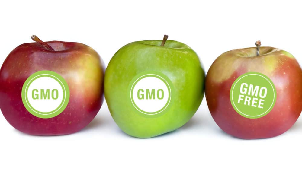 While You Were Distracted By The US Election, The Senate Outlawed GMO Labeling Nationwide