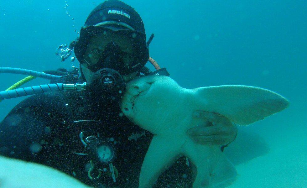 This Australian Diver’s Good Friend Is A 6-Foot-Long Shark