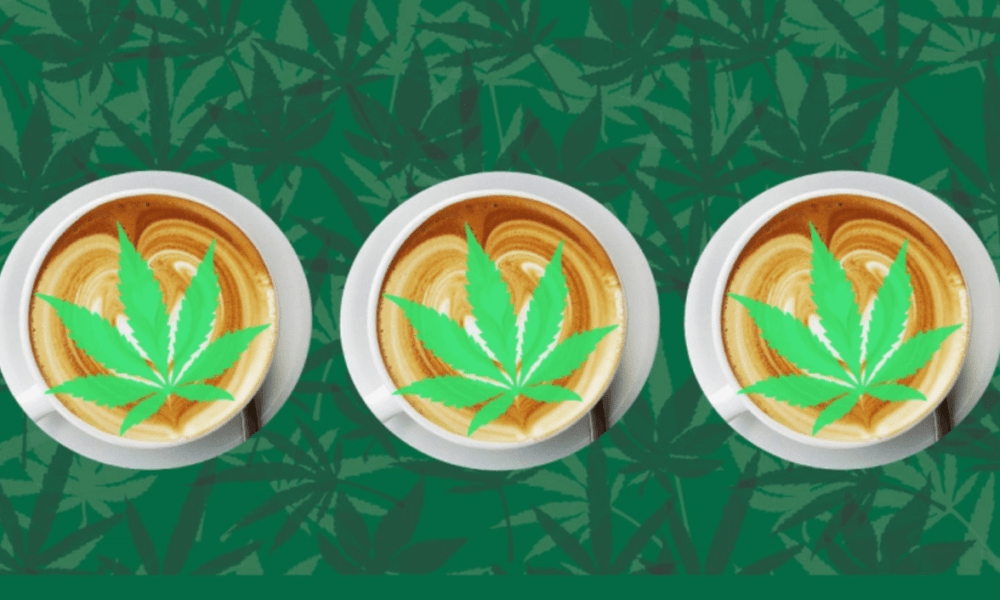 Cannabis Coffee Pods To Hit Markets In March 2017