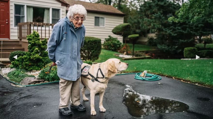 92-Year-Old WWII Vet Refused To Leave Her House Until She Adopted This Dog [Watch]