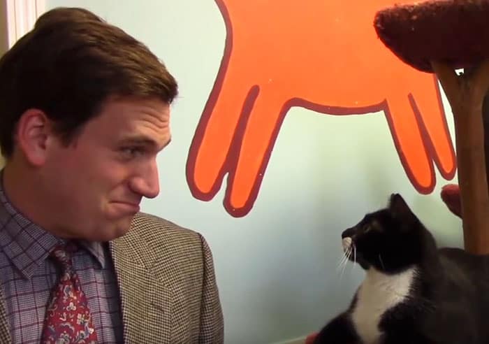 Animal Shelter’s Low-Budget Cat Commercial Unexpectedly Goes Viral [Watch]