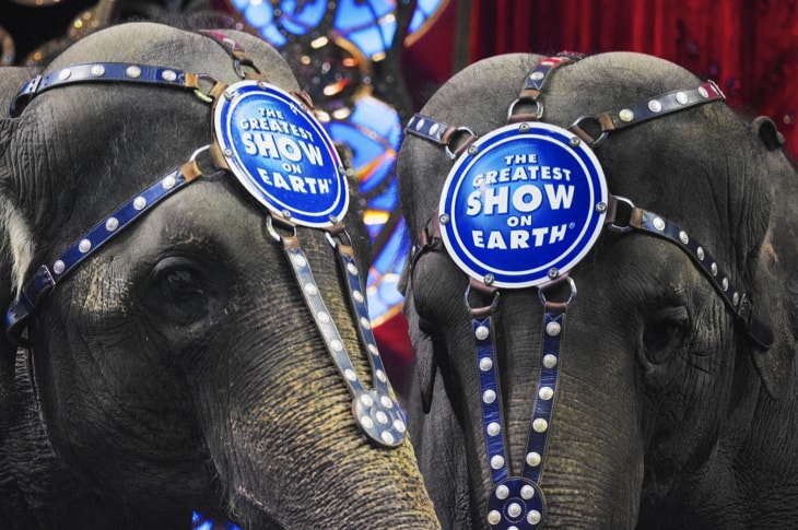 Breaking: Ringling Bros. Closes Circus For Good After 146 Years Of Entertaining