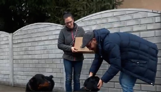 Hungarian Brewery Gives Free Beer To Those Who Adopt Rescue Dogs From Local Shelter