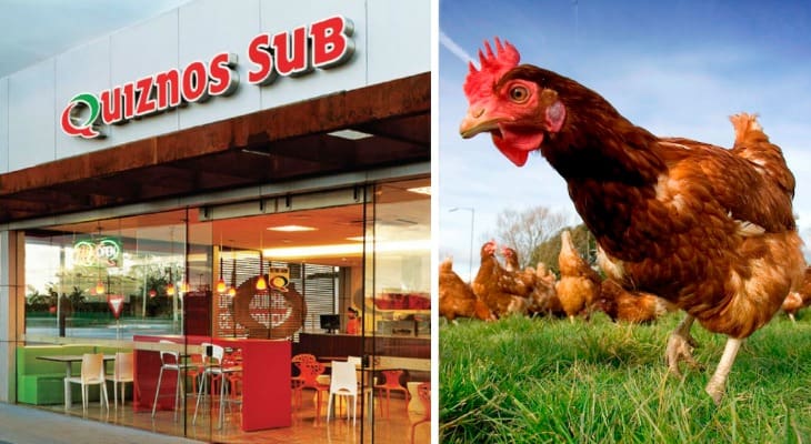 Quiznos Pledges To Only Source ‘Ethically Treated’ Chicken