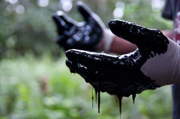 Ecuador Fights To Hold Oil Giant Chevron Accountable For Mass Contamination Of The Amazon