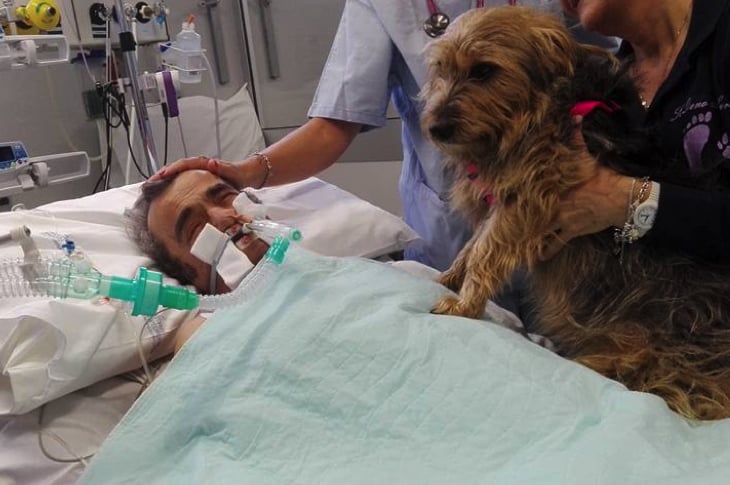 Man In Coma Doesn’t Respond To Anyone Until His Dog Shows Up For A Visit [Watch]
