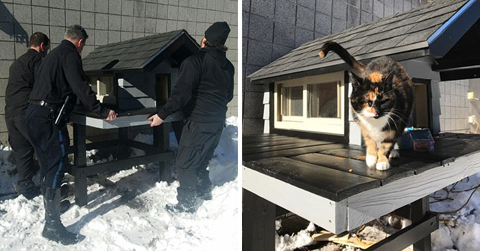 Officers Build Cozy Condo For Cat Who Adopted Local Police Station