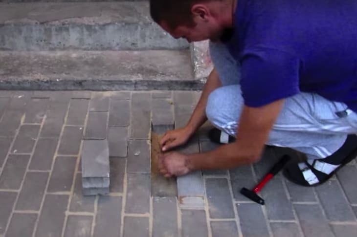 Man Hears Barking Beneath Newly-Patched Sidewalk And Rescues Dog Buried Alive