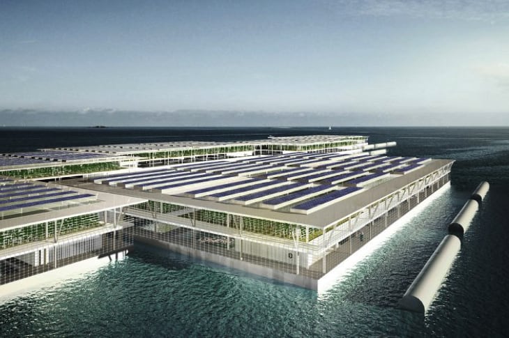 Solar-Powered Floating Farm Could Produce 20 Tons Of Vegetables Daily