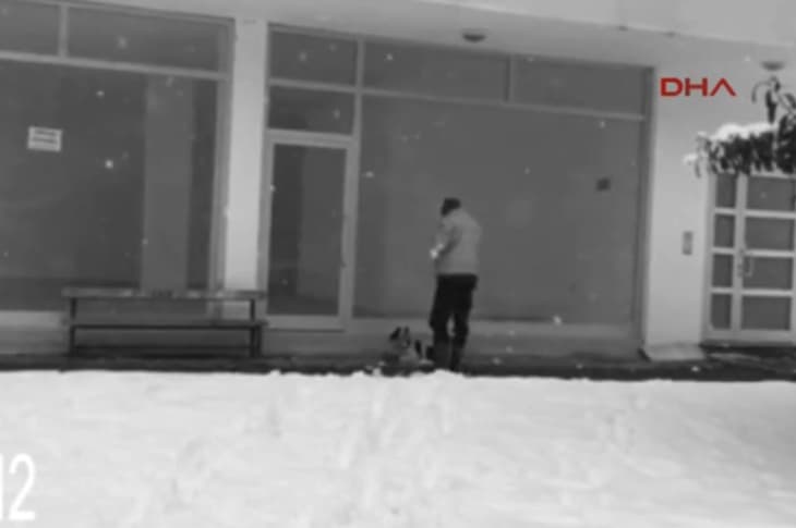 Security Camera Catches Man Doing The Sweetest Thing For A Stray Dog [Watch]
