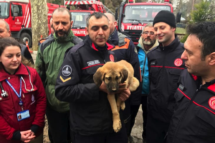 Firefighters Adopt A Puppy They Rescued After It Spent 11 Days In A Well