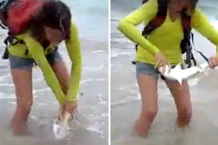 Tourists Take Selfie With A Baby Shark, But This Time The Shark Won