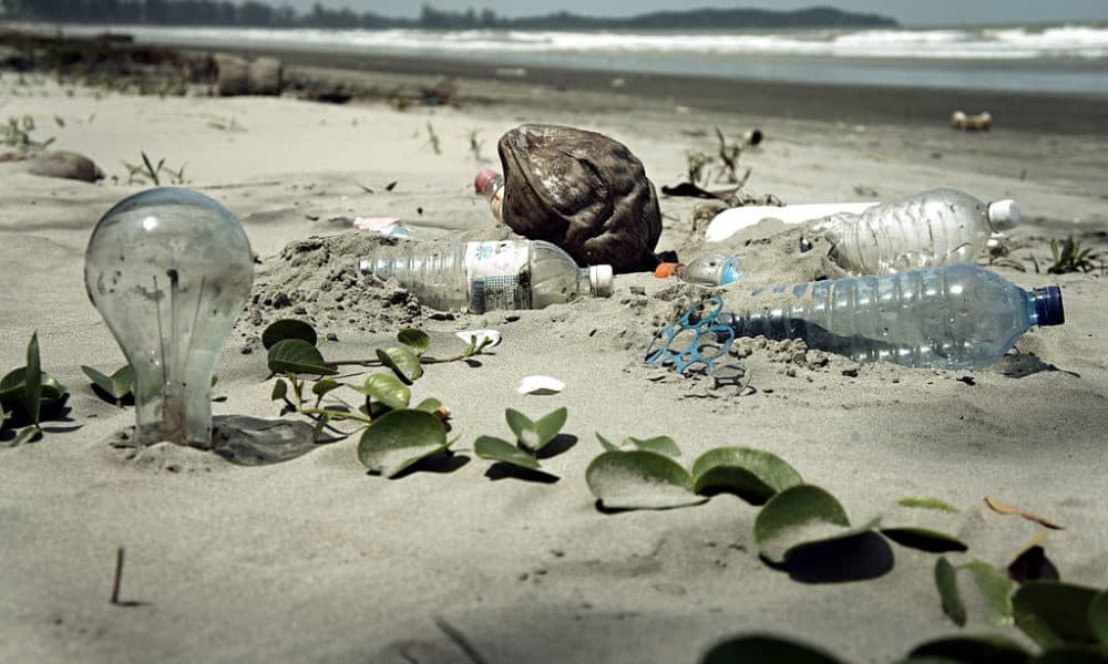 Bottled Water Sales Surpass Soda: Americans Continue To Ignore Ubiquity Of Plastic Bottles