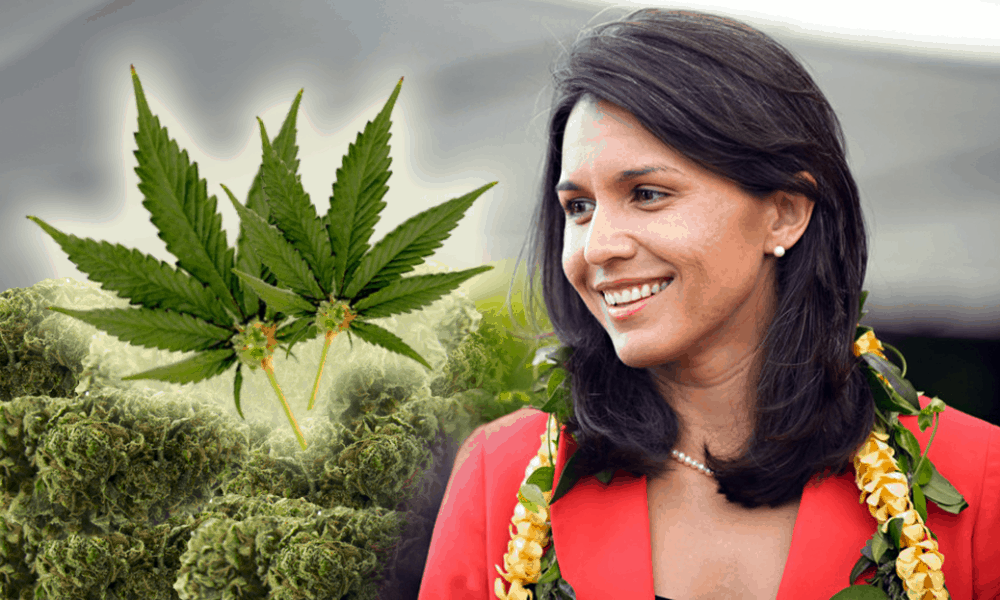 This Congresswoman Just Proposed A Bill To Decriminalize Marijuana