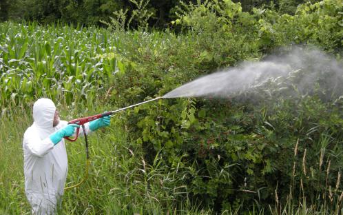 U.N. Report Reveals Agri-Chemicals As Unnecessary Evil: Attributes 200,000 Deaths Annually To Pesticide Poisonings