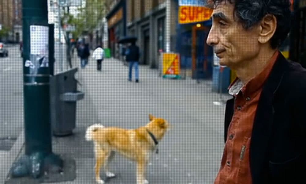 Addiction Is A Reasonable Response To The State Of The World: Gabor Maté [Watch]