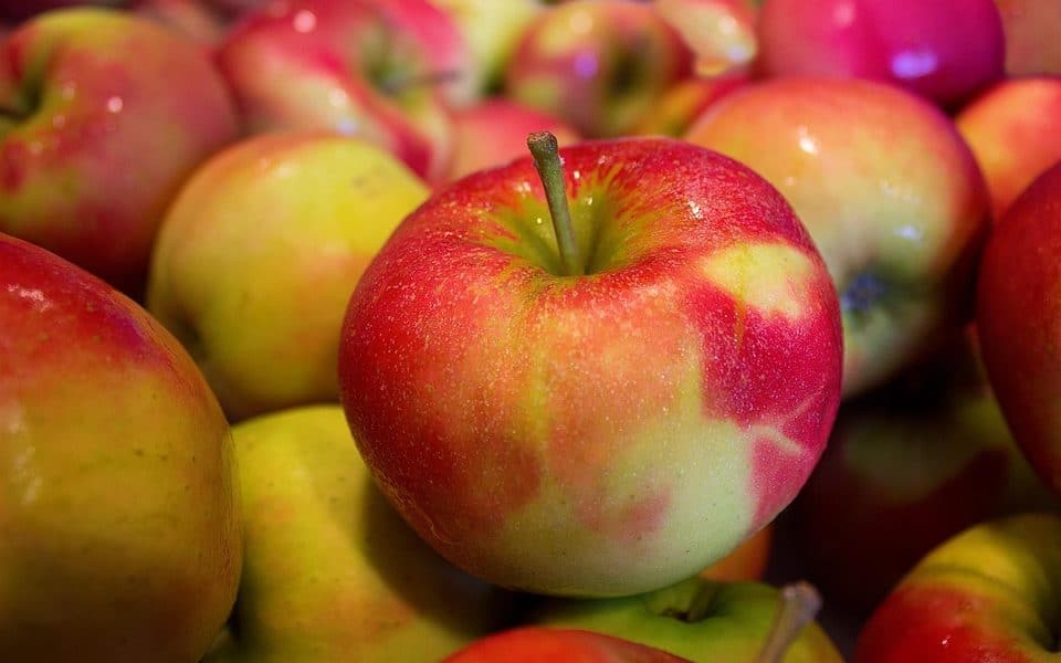 The Sale Of GMO Apple Goes Ahead Despite Public Health Concern