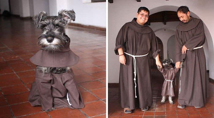 Stray Dog Adopted By Monks Joins The Order And Receives His Own Habit