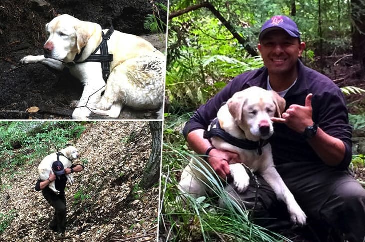 Blind Dog Was Missing For Over A Week Until Her Rescuer Carried Her To Safety