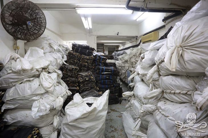 Conservationists Dread Seeing These White Shipping Bags For This Sad Reason