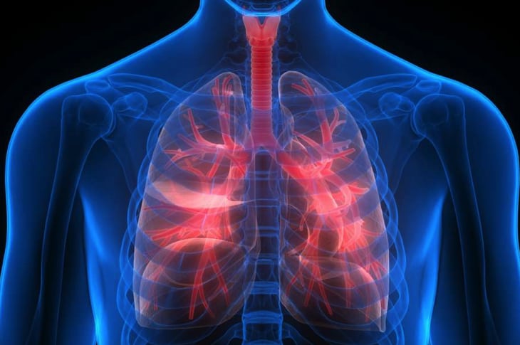 Scientists Just Discovered That The Lungs Have A Secret, Extremely Useful Function