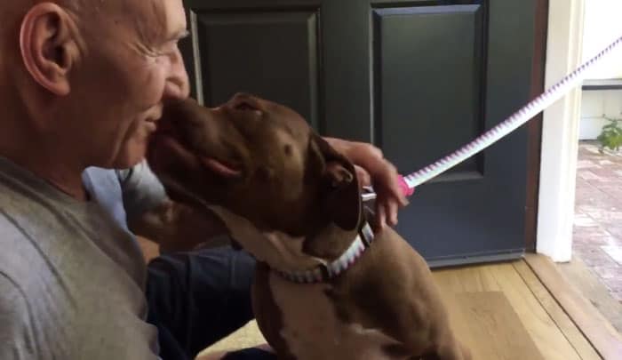 Sir Patrick Stewart Becomes Emotional Upon Meeting New Foster Pup [Watch]