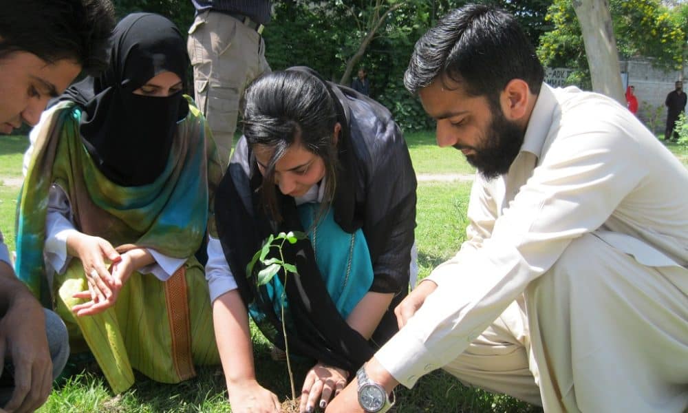Pakistani Province Celebrates Planting 750 Million Trees Since 2015