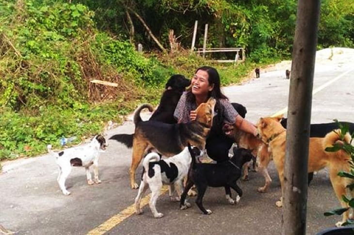Stray Dog Brings Cutest Surprises To Woman Who Feeds Him Everyday