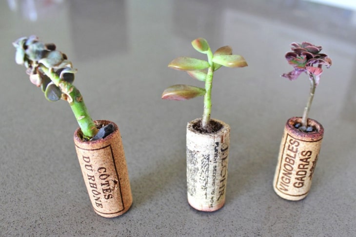 Got Old Wine Corks Laying Around? Repurpose Them Into These Adorable DIY Planters