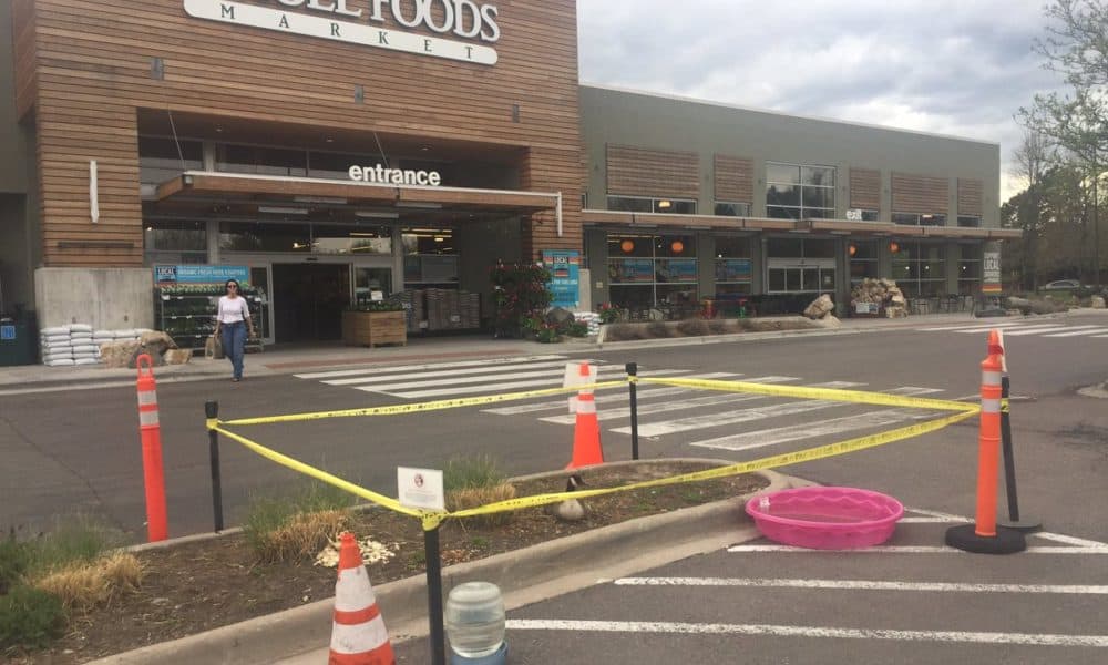 Whole Foods Goes Above And Beyond To Protect Goose Who Laid Eggs In Parking Lot