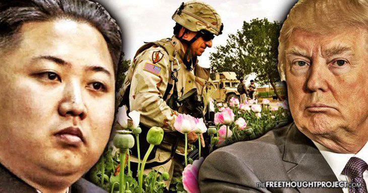 What They Don’t Want You To Know: North Korea Is A Large Opium Producer Just Like Afghanistan