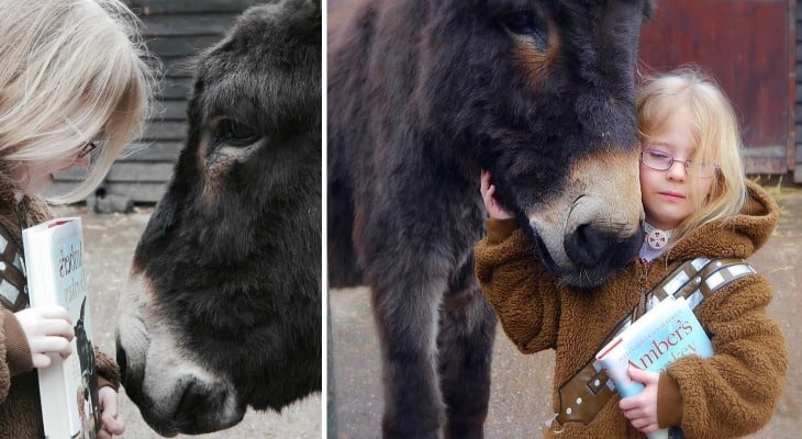 Mute Girl Befriends Donkey Then Surprises Everyone By Uttering These Three Words