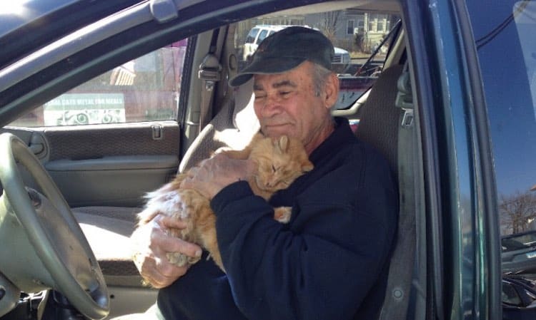 75-Year-Old Activist Has Cared For Feral Cats In Neighborhood For Past 22 Years