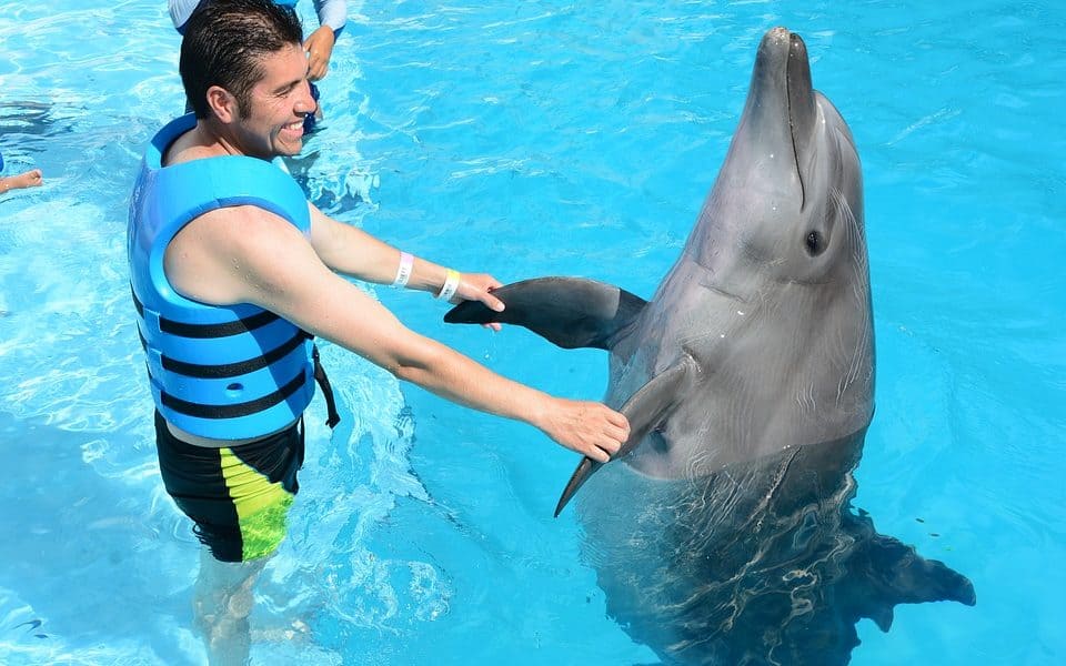 Major Travel Company Cuts Ties With All Animal Interactions After They Fail Welfare Standards