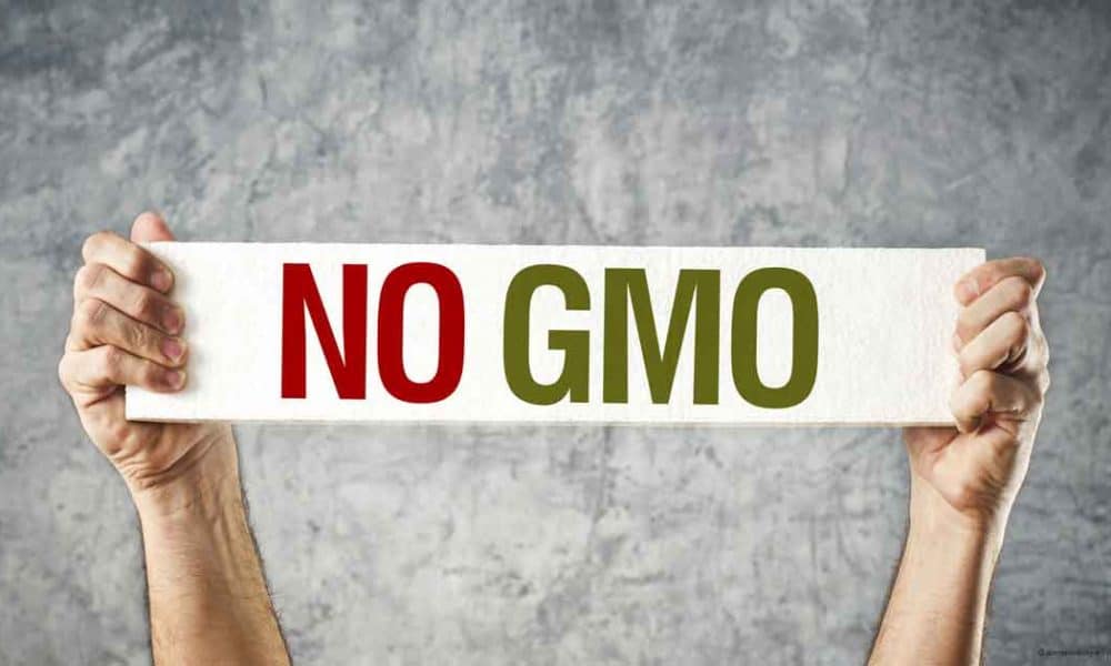 List Of 400 Companies That Refuse To Use GMOs In Their Products