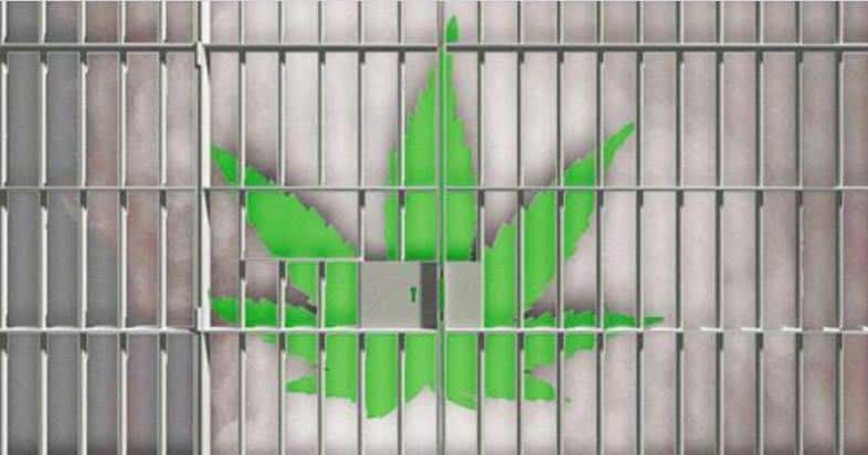 Ex-DEA Spokeswoman: “Marijuana Is Safe” But Is Intentionally Kept Illegal