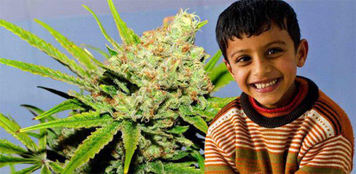 Groundbreaking Study Finds Cannabis May Be A “Miracle” Treatment For Autistic Kids