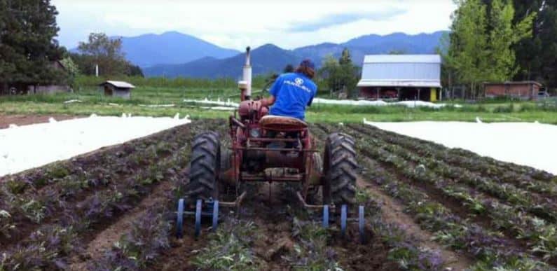 Farmer Charged, Fined $2.8 Million, For Plowing His Own Property