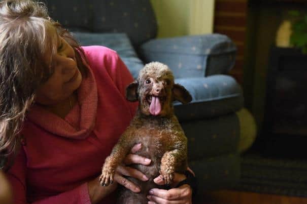 This Dog Spent Her Entire Life Locked In A Basement. Now, She’s Finally Free