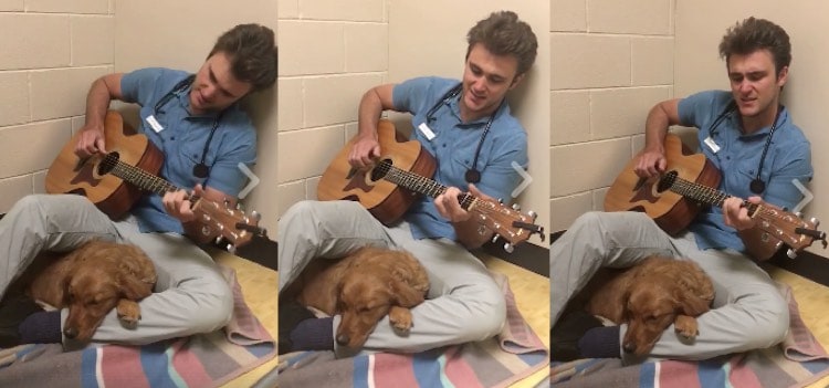 [Watch] Compassionate Veterinarian Soothes Anxious Dogs By Singing To Them