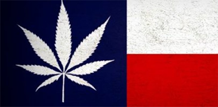 Texas House Considering Marijuana Decriminalization Bill