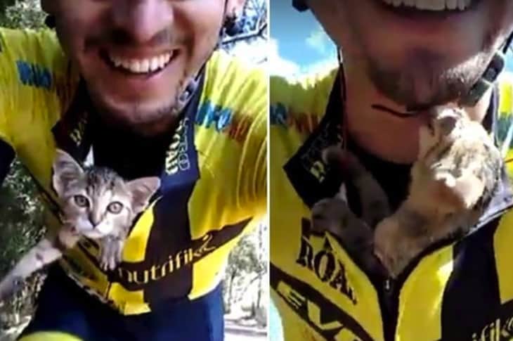 Cyclist Saves Tiny Kitten On The Road And Kitten Has Cutest Reaction [Watch]