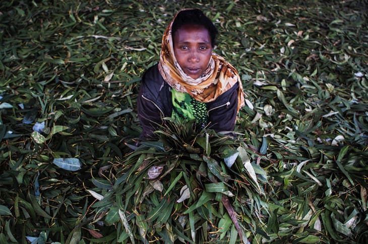 Woman Uses Beautiful Images To Show How Climate Change Is Affecting Farmers [Photos]