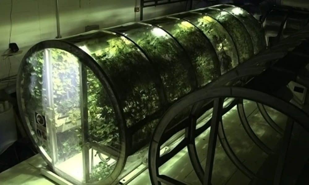 NASA Designs Inflatable Greenhouse To Feed Astronauts On Mars