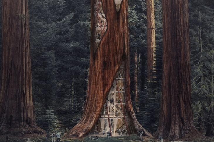 Designers Imagine Skyscraper Structures Inside Rotting Redwoods For This Cool Reason