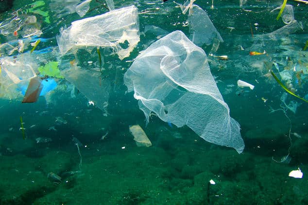 Scientists Discover Bacteria That Has Evolved To Eat Plastic In The Oceans
