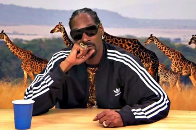 Snoop Dogg Narrating Intense Iguana Chase Scene Is The Best Thing You’ll Watch All Day