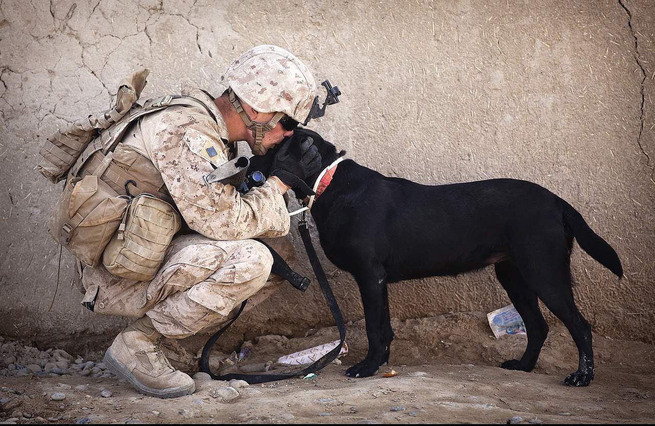 https://pixabay.com/en/soldier-dog-companion-service-870399/